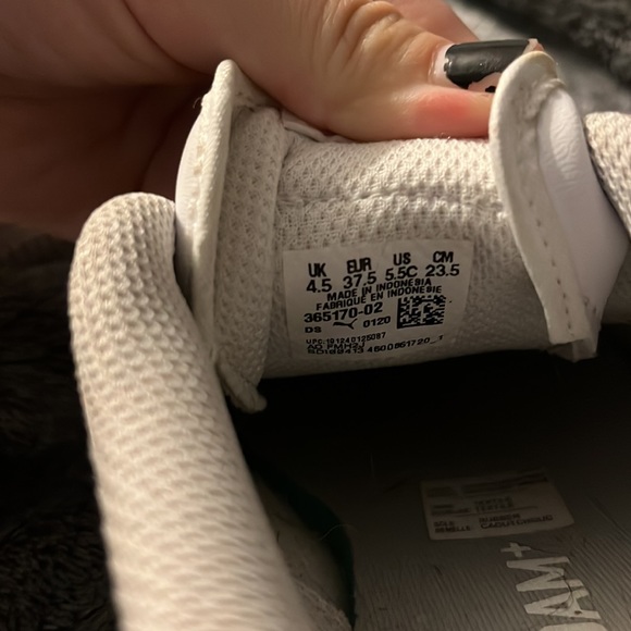 Pumas - Picture 5 of 5